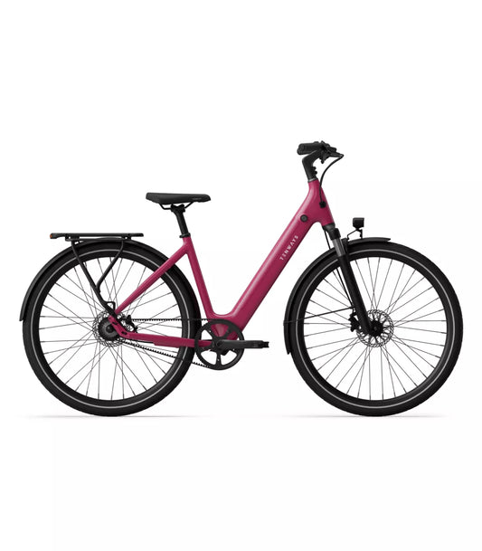 Vélo électrique Tenways CGO800S 2025 baie sauvage