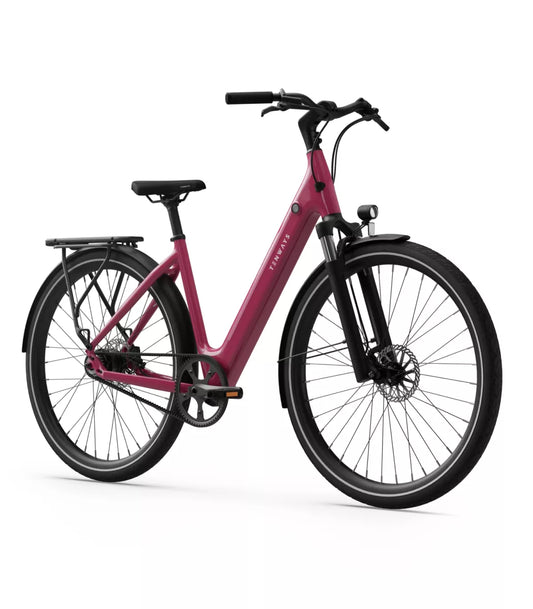 Vélo électrique Tenways CGO800S 2025 baie sauvage