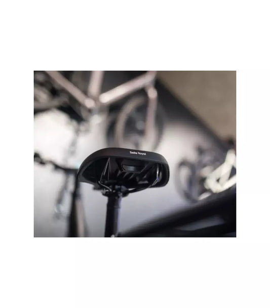 Vélo électrique Tenways CGO800S 2025 Noir