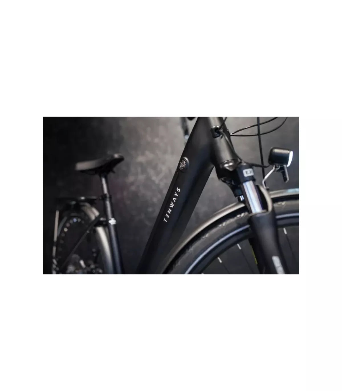 Vélo électrique Tenways CGO800S 2025 Noir